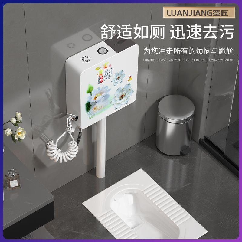 蹲蹲大号特大蹲便池家用坑水箱便器大便卫生间69便器卫号生间大便