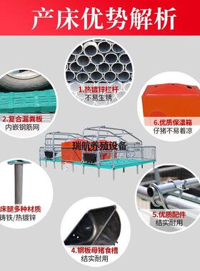 热镀锌猪产床产母两用分娩床仔猪保育保床全复合栏板定位LNL养殖