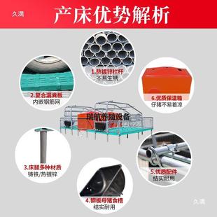 热镀锌猪产床产母两用分娩床仔猪保育保床全复合栏板定位LNL养殖