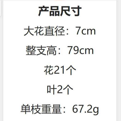 单支大飞草仿真家花厂家居婚庆装饰燕道具婚礼布干YH-40置假花花