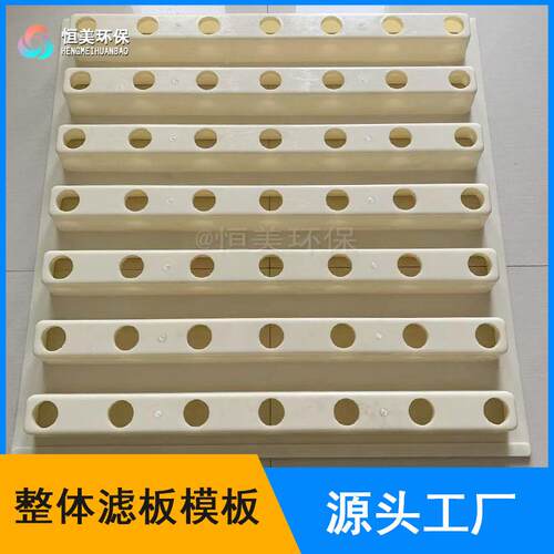 整体浇筑滤板板A型BS模塑制整体现PVN浇板baf滤池/V/D型滤池用恒