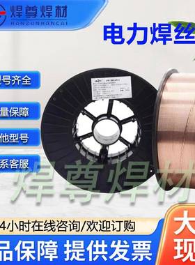 上电力PP-90TIG-39Mo不锈海钢焊丝ER309LLMo0氩弧焊丝