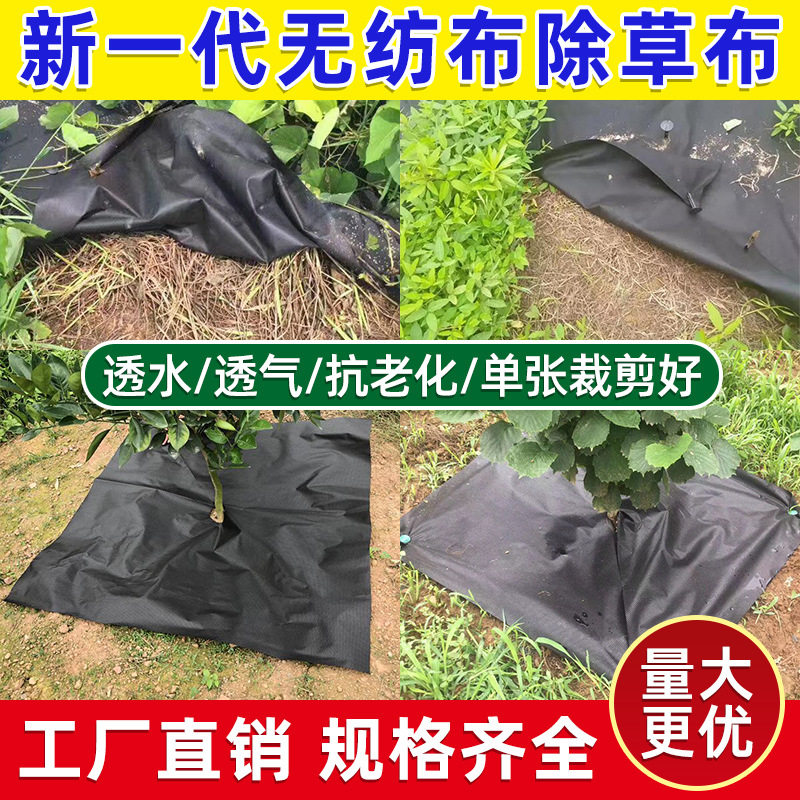 可降解农用防草布果园除草布新型果树耐用除草地膜地布生态盖草布