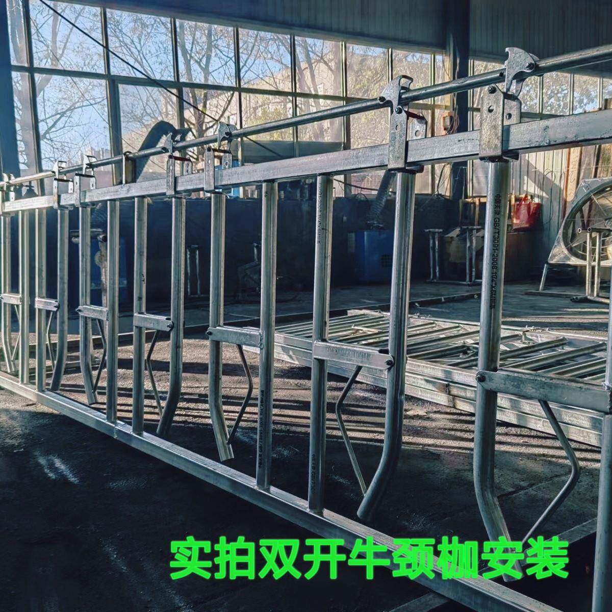 牛颈枷自锁式脖夹热镀栏锌小牛护QRY大牛牛场畜牧设备