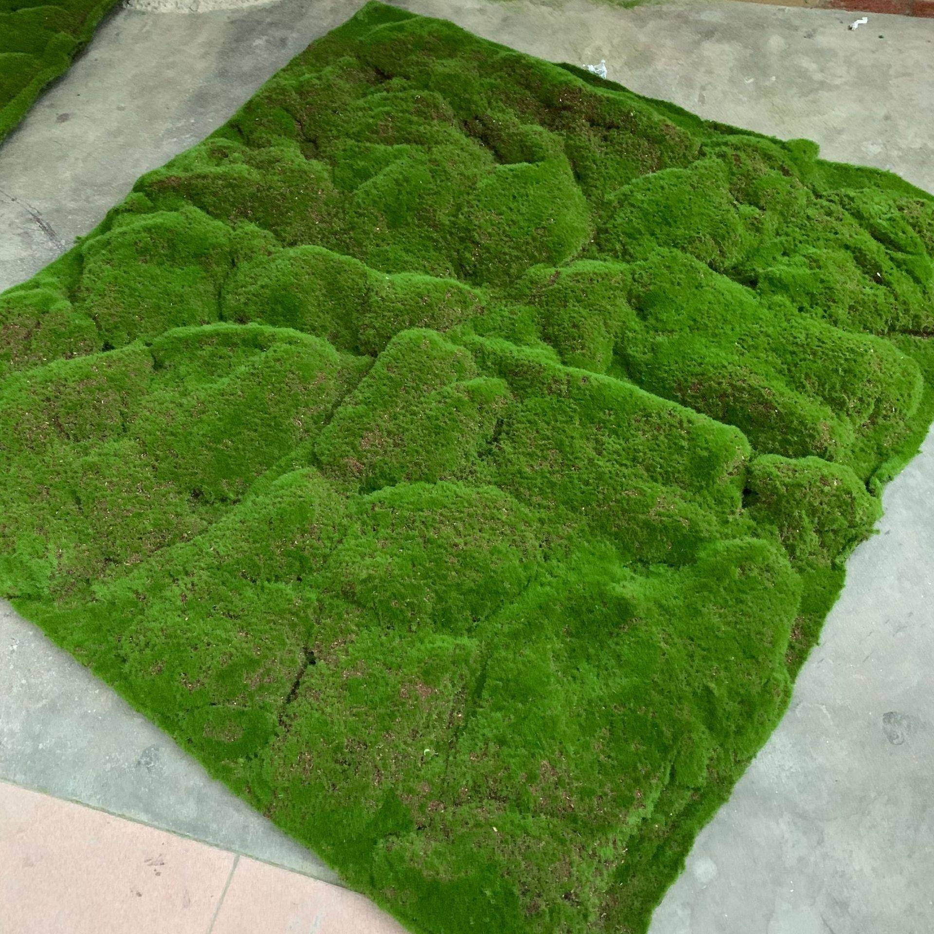 仿青苔草皮苔草坪微景真EEG造景装饰绿植藓墙布观置假草坪人造草