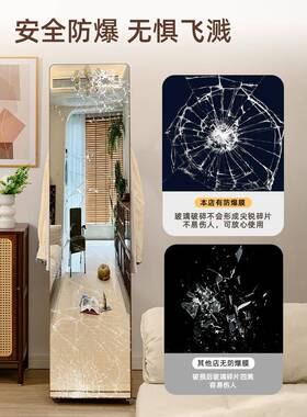 ?全身镜落地家VAI用试卧镜可移动收纳穿衣镜挂衣一体室衣架简约衣