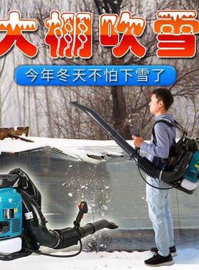 B9900型背E负式二冲程吹风机路面清洁吹叶机油庭院大棚汽吹QLN雪
