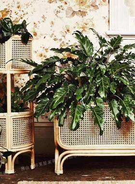 内复古藤编花架创意折叠置物架室可真35186藤多层花植篮物架子