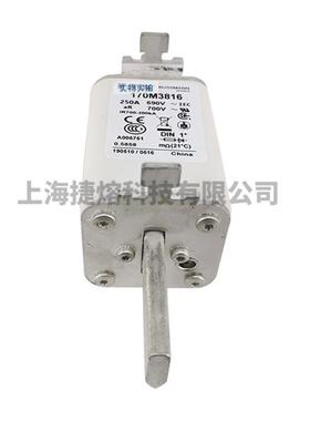 170M3GIV186170M316D170M38178电子元器件快速熔断器现货直发