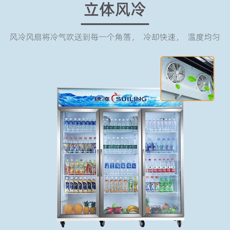 穗凌LG4-10商0果0M3F冰柜用立风直藏三无品牌/门水保鲜冷冰箱饮料图片