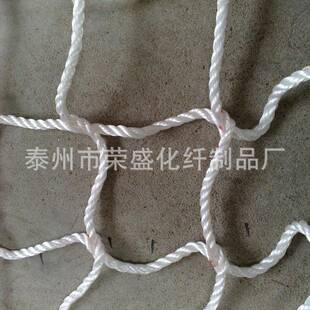 舷安全网梯厂直家销舷梯安JPW全网舷安全网销售欢迎梯咨询