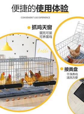 笼鸡自AL100337动清粪滚蛋子家用室防雨鸡鸭鹅围养笼子养特鸡场外
