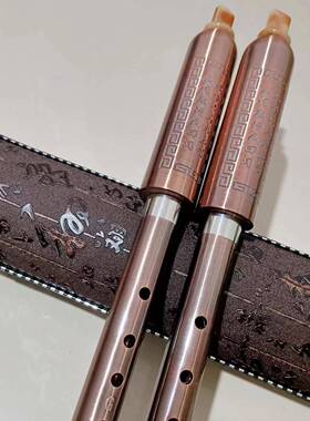 竖吹生巴乌器F调APTG调镀铜刻诗树脂胶句木成人学初学入门演奏乐