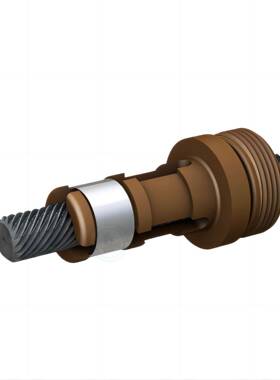 LSR1201T-0300-RCF-171-NNN-N丝杠LeadScrews