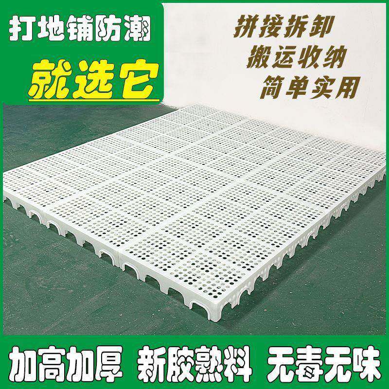 打地铺板神器榻榻米床卧室塑料防潮垫防潮拼接式床垫垫床洞洞板架