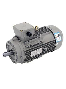 4极3kw电机YE3100L2-4三相异步交流IE3高能效三相异步机械设备用