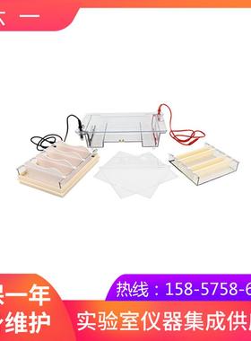 北京六一DYCP-31E型琼脂糖水平电泳仪(中号)