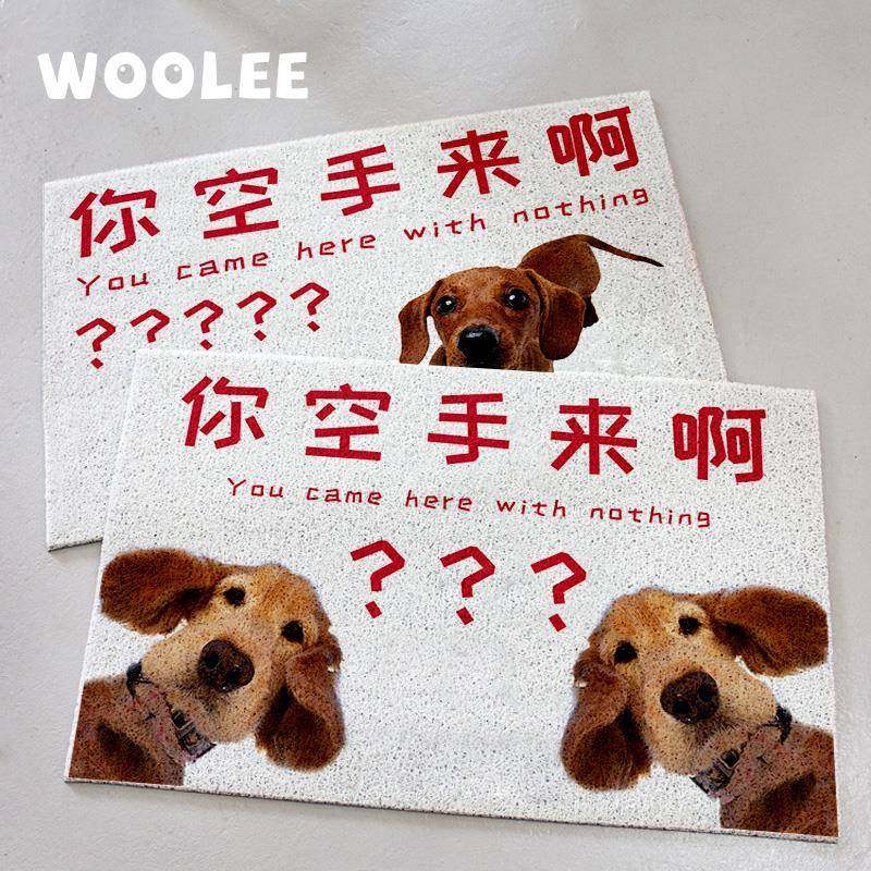 宠物定制你空手来啊地垫入户门地毯进门户外门口防水防滑蹭泥丝圈