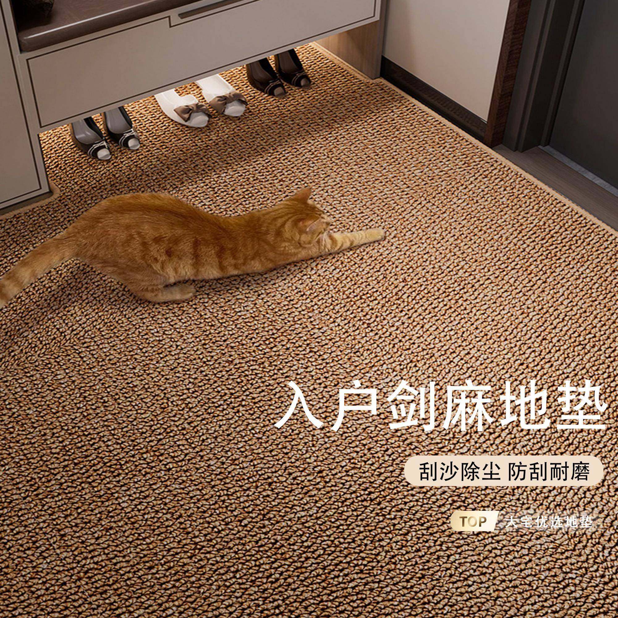 2025新款入户门地垫彷剑麻门垫耐脏防滑脚垫门口地毯裁剪门外简约