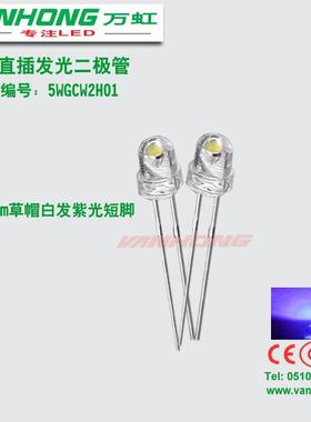 led灯F5草帽白发紫5mm草帽紫光紫灯LED灯珠led灭蚊F5紫色灯