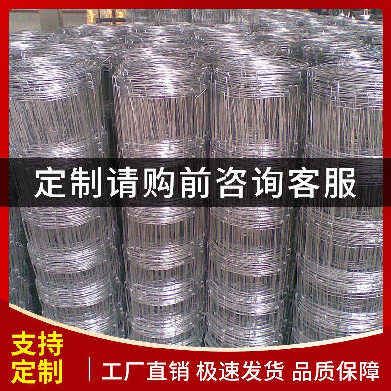 鸡鸭养殖隔离铁丝网厂家现货尺寸可定牛栏网农场围栏网全国可送货