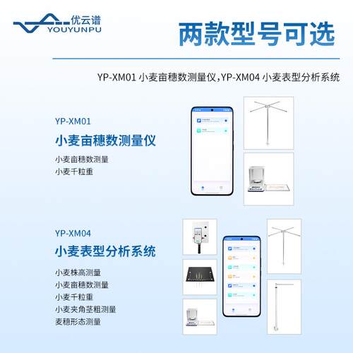 小麦表型分析系统麦穗形态小麦亩穗数测量系统小麦表型测量分析仪