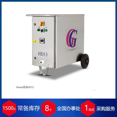 供应德国gg-technik蒸汽发生器TD13