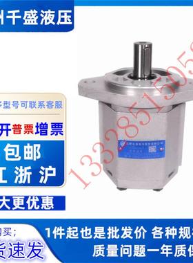 合肥长源齿轮泵CBQ-F573/F563/F550/G520/G525/G532/G540-AFH/CFP