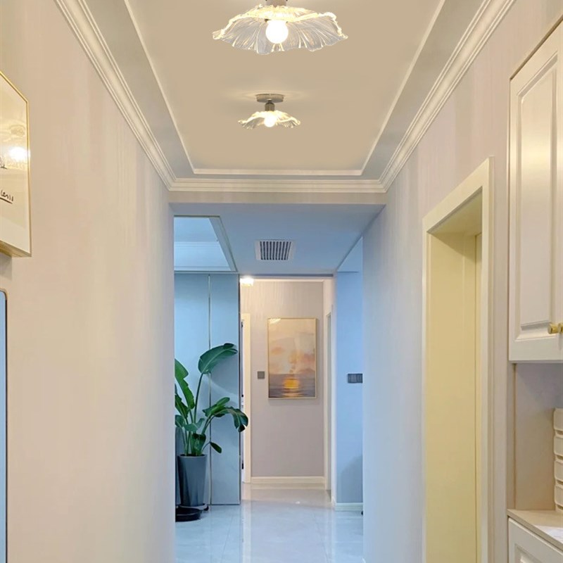 阳台灯吸顶灯过道灯网红走廊灯入户灯玄关灯创意灯荷叶灯2024新款