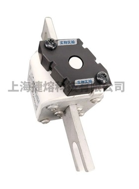 170M4258 170M4259 170M4260低压熔断器 标准封装 现货直发