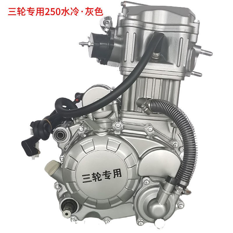 三轮车摩托车发动机水冷双冷水冷250发动机总成