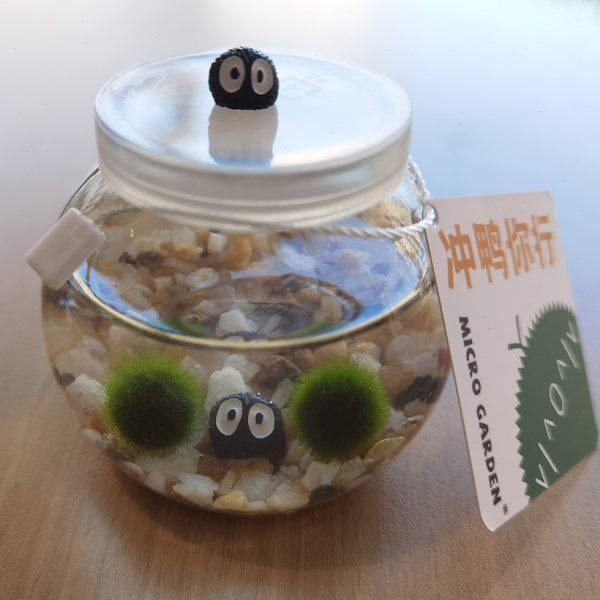 马里莫海藻球生态瓶生日礼物送闺蜜水培养植物水草小宠物微景观,鲜花速递/花卉仿真/绿植园艺,海藻球,淘宝优惠券,粉丝福利购,淘宝优惠卷