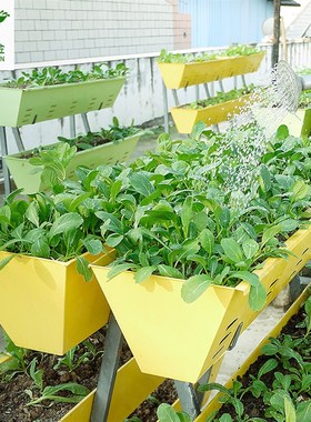 长方形室内绿色土培种菜箱阶梯园艺种植花架阳台花盆花槽种植箱