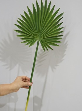 高品质仿真植物pu蒲扇叶葵叶绿色植物大叶子软装客厅摆件婚礼造景