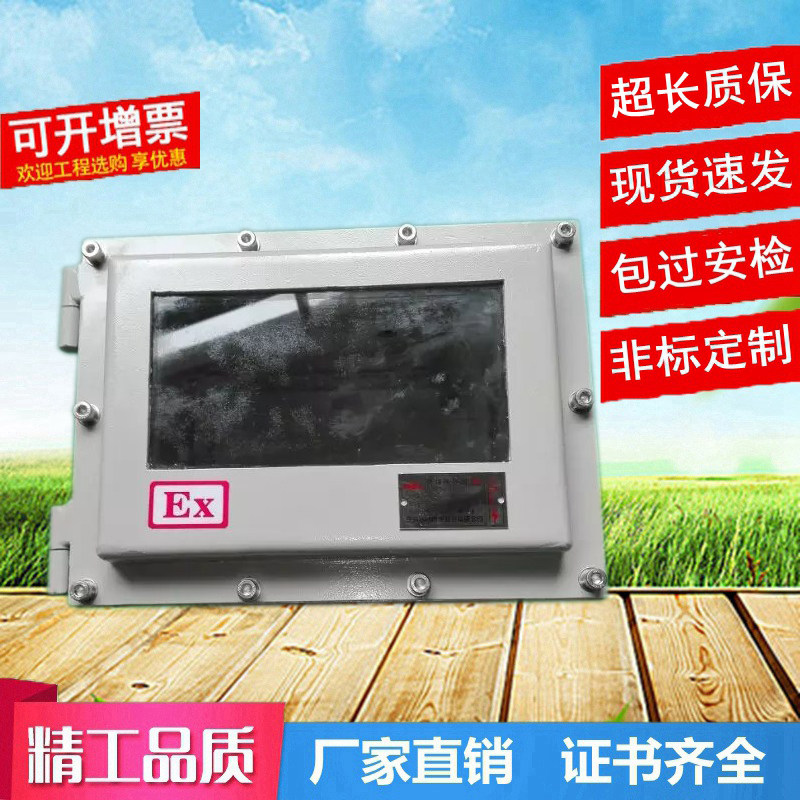 防爆电箱称重箱触摸屏液位控制可视观察窗数显温控探视防爆仪表箱