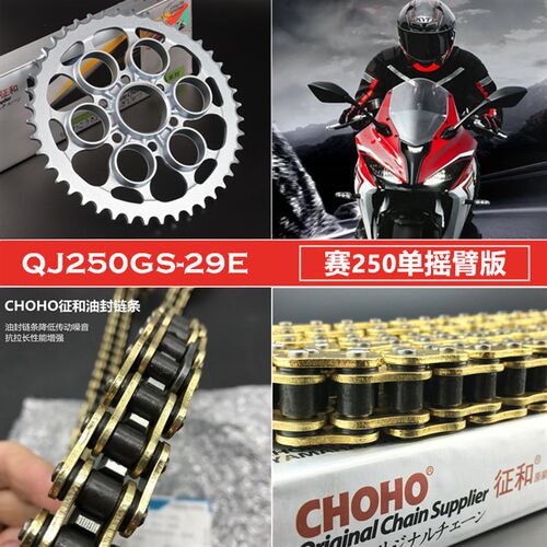 适用钱江赛250 QJ250GS-29E单摇臂大小牙盘油封链条链轮毂缓冲胶