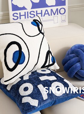 侘寂风抱枕蓝色系高级枕套客厅沙发靠垫靠枕家用装饰异形车载腰枕