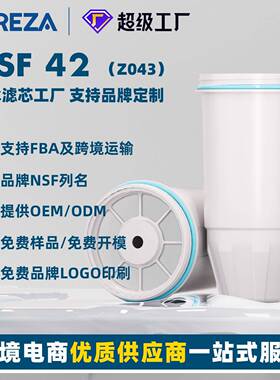 Z043碧纯净水滤芯活性炭过滤器滤芯ZR-001适配于ZeroWate水壶滤芯