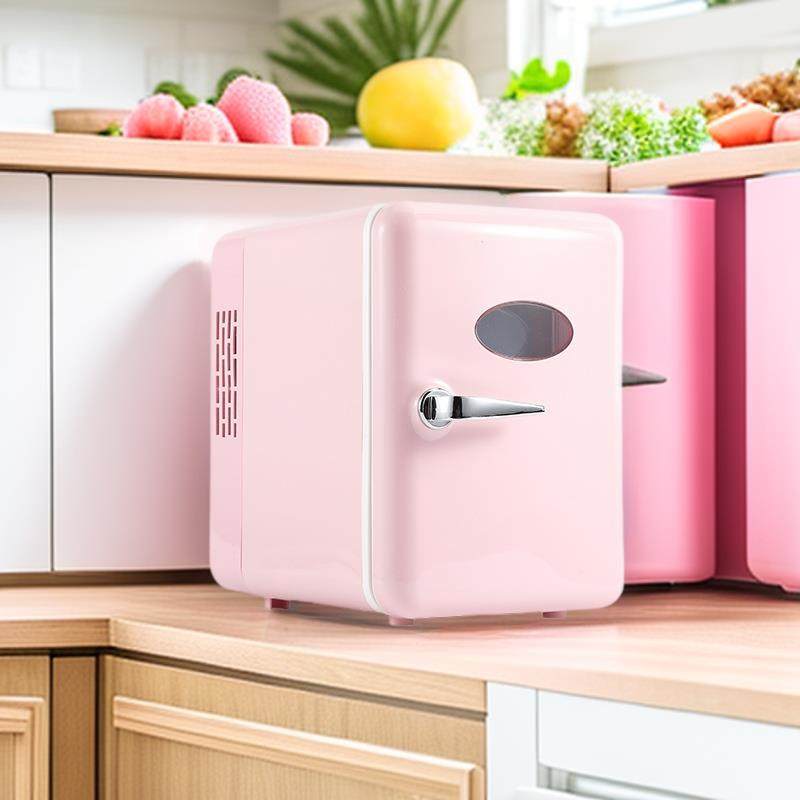 小型小冰箱宿舍用mini迷你一人办公室桌面2025年新款车载冰柜