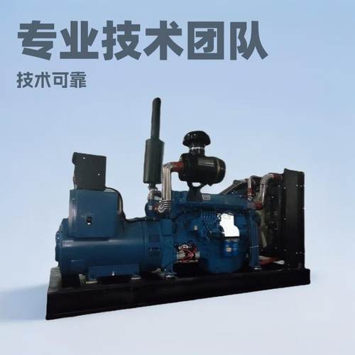 工厂200kw发电机组潍坊系列发电机组200千瓦柴油发电机组