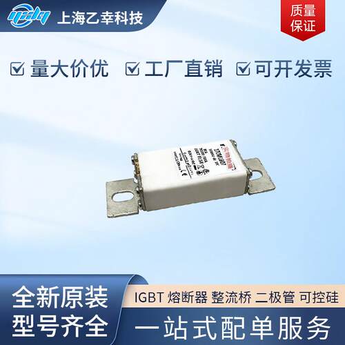 巴斯曼熔断器 170M1807 170M1808 170M1809 170M1810 170M1811