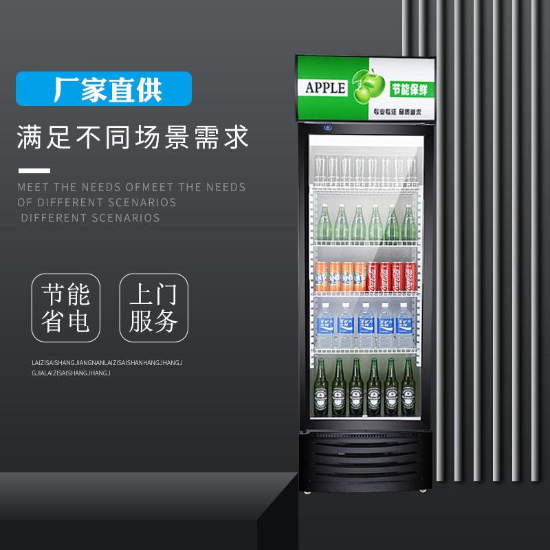 冷藏柜保鲜柜展示柜立式饮料柜商用单门388L冰柜双门啤酒冷柜水柜