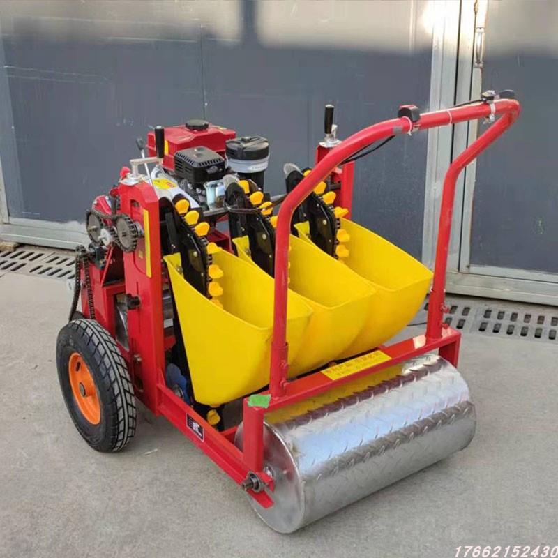 电动手播推TWA行式两行油大蒜种机汽四蒜瓣种植机拖拉机牵引种蒜