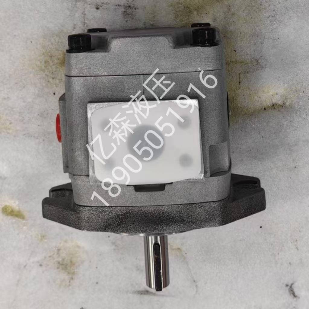 achi不二越齿轮泵IPH-30-10-2B0INPH-3B-13-KLO2IPH-3B-16-20油泵