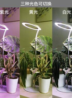0植物生内OVS长灯1寸25cm直径21W可调光光环植物p灯ro室大型补光