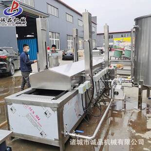 花鱼鲅鱼草鱼新式油炸流287水加热小酥线肉藕片鱼黄丸电油炸生产