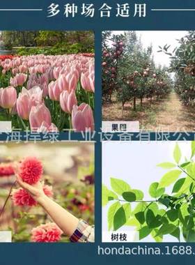 近正大嘴chikmasa修YUV枝栽粗枝盆剪减震a鸟护手花艺剪