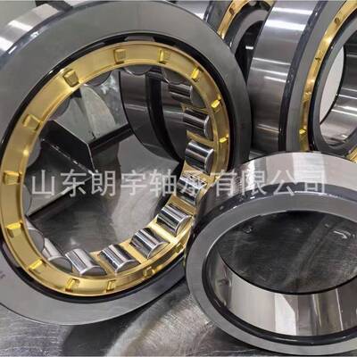 圆柱滚子轴承R3N205RN20R6RN208RN210RN305N06RN30790623RN308