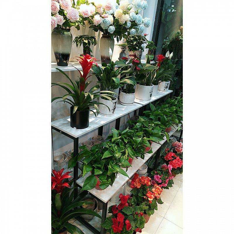 店阶梯式花架纳花展示置物架铁艺阶梯落地式花盆收架架MMB鲜梯形