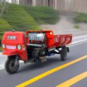 农用油自卸轮车柴油自卸五征燃子油柴马翻EJK斗车三载重